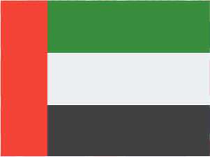 UAE Flag